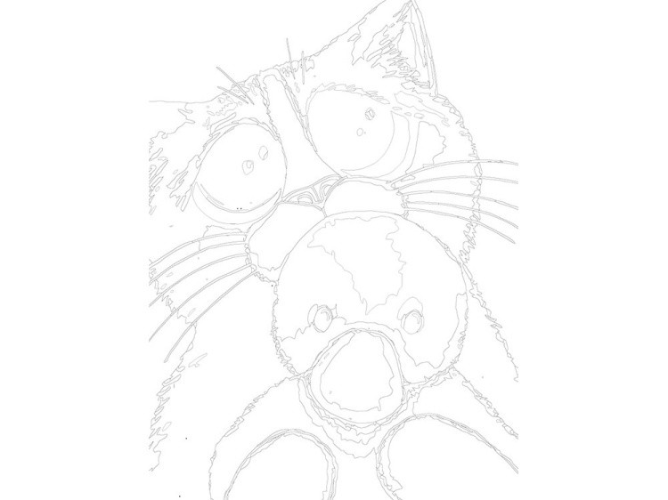 Картина по номерам «Любимка» — картинка 3