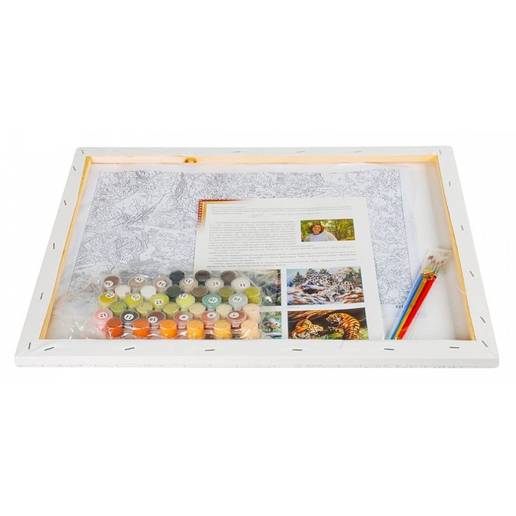 Картина по номерам «Лилии из сада» — картинка 3