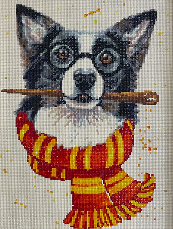 Алмазная вышивка «Бордер-колли» — картинка 2