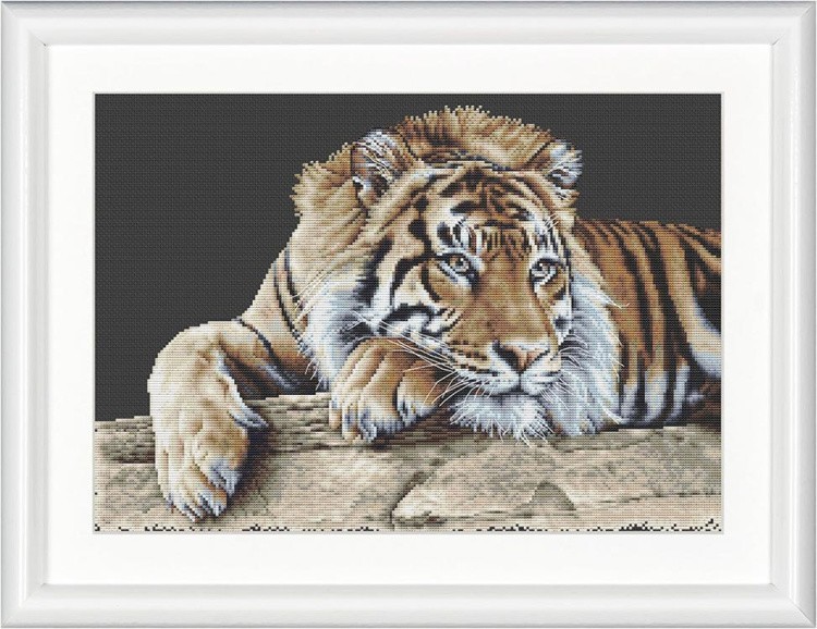 Набор для вышивания «Тигр» — картинка 2