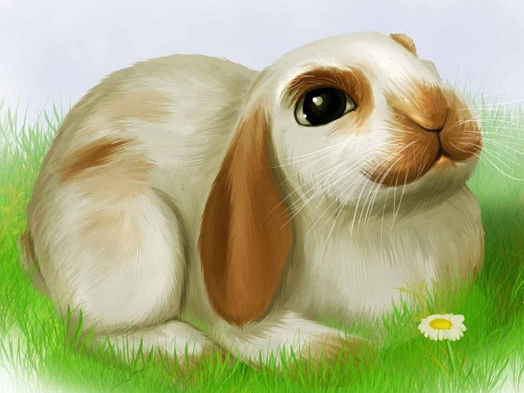 Фигурка для раскрашивания «Кролик вислоухий» — картинка 3