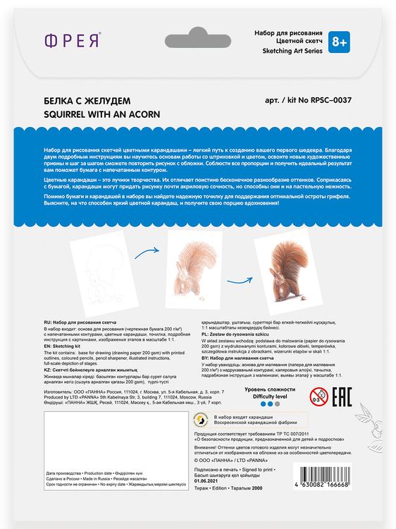 Скетч для раскрашивания цветными карандашами «Белка с желудем» — картинка 3