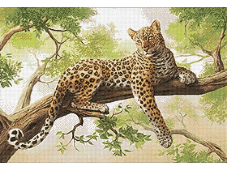 Алмазная вышивка «Хозяин прерий» — картинка 3