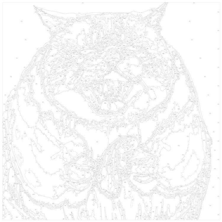 Картина по номерам «Печальный толстый котик» — картинка 3