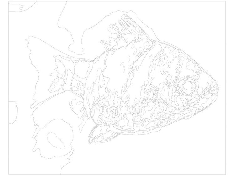 Картина по номерам «Тигровая рыбка» — картинка 3