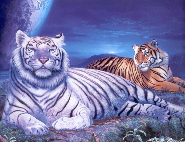 Алмазная вышивка «Тигры на отдыхе»