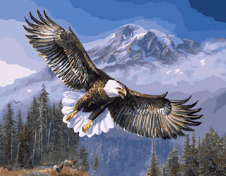 Картина по номерам «Полет орла»