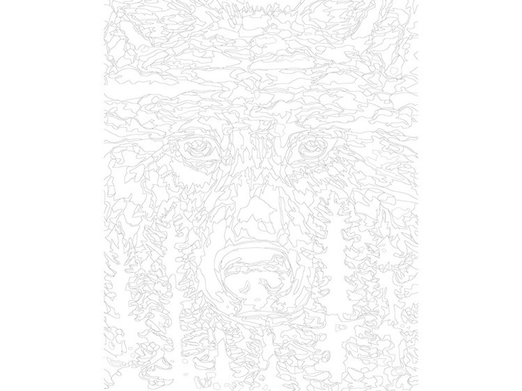 Картина по номерам «Дух волка» — картинка 3