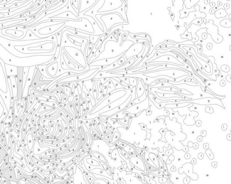 Картина по номерам «Букет роз с ирисами и жемчугом» — картинка 5