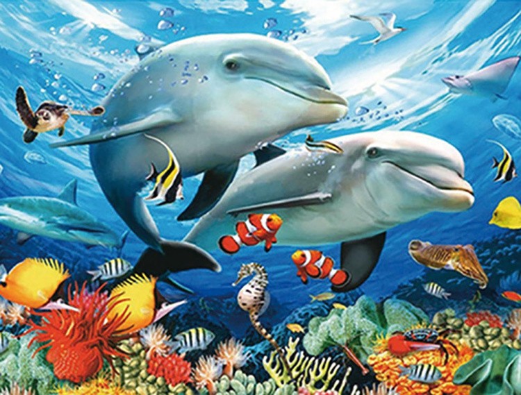 Алмазная вышивка-открытка «Дельфины в море»
