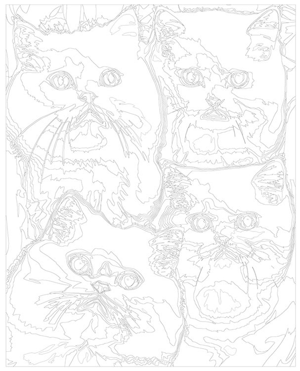 Картина по номерам «Четыре белых кота» — картинка 3