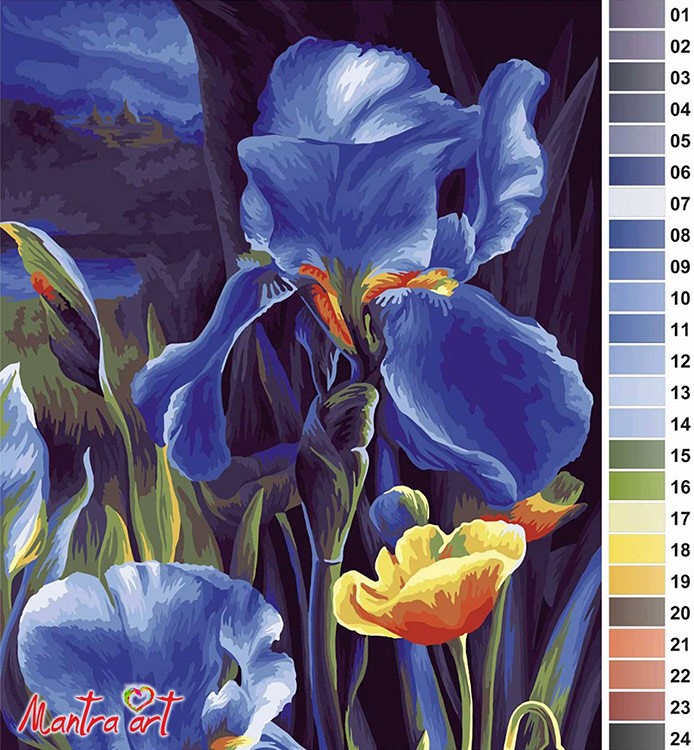 Картина по номерам «Ирисы» — картинка 2