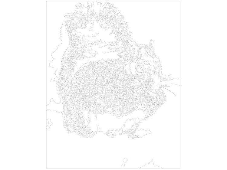 Картина по номерам «Белка» — картинка 3