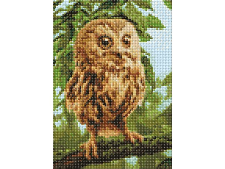 Алмазная вышивка «Молодой филин» — картинка 2