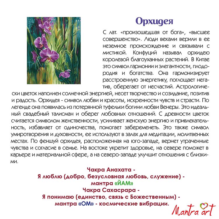 Картина по номерам «Орхидея» — картинка 4