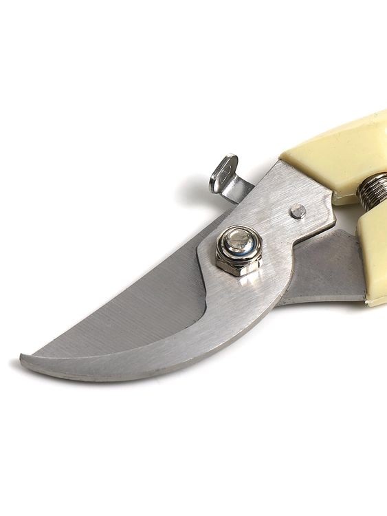 Секатор Maxwell изогнутое лезвие, 55/180 мм, ручки беж. пластик — картинка 8