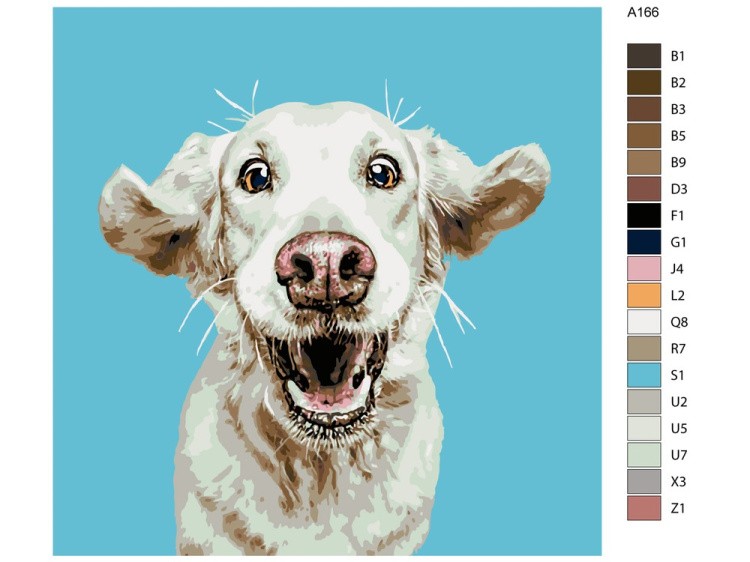 Картина по номерам «Шелли» — картинка 2