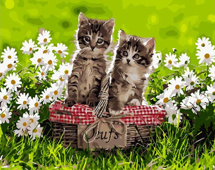 Картина по номерам «Спокойные котята»