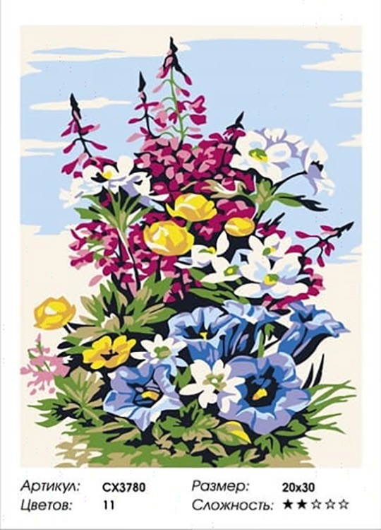 Картина по номерам «Полевые цветочки» — картинка 2