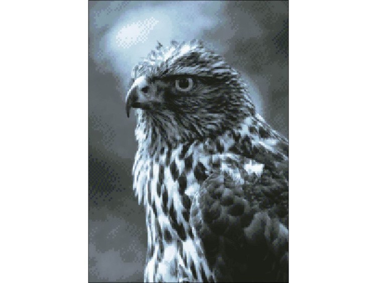 Алмазная вышивка «Сокол» — картинка 2
