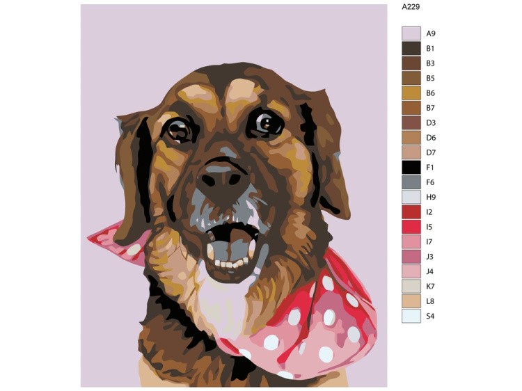 Картина по номерам «Вилли» — картинка 2