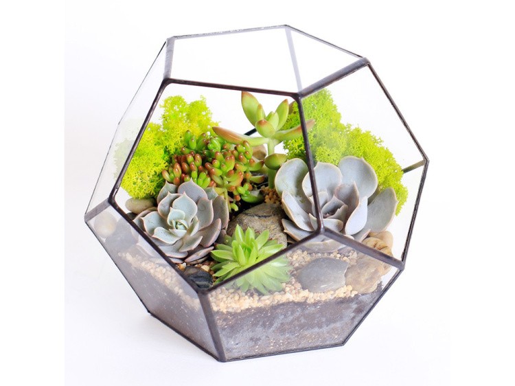 Флорариум додекаэдр большой — картинка 4