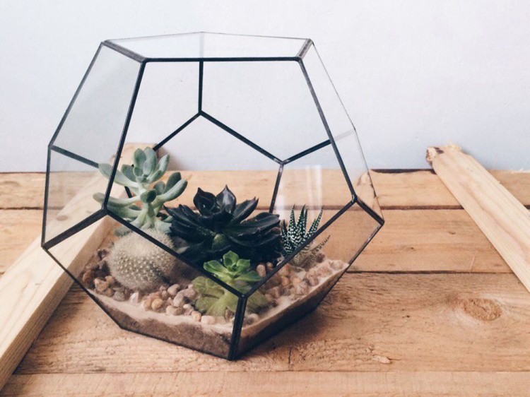 Флорариум додекаэдр большой — картинка 5