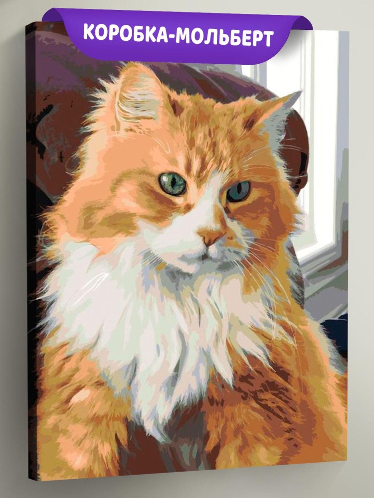 Картина по номерам «Рыжий кот»