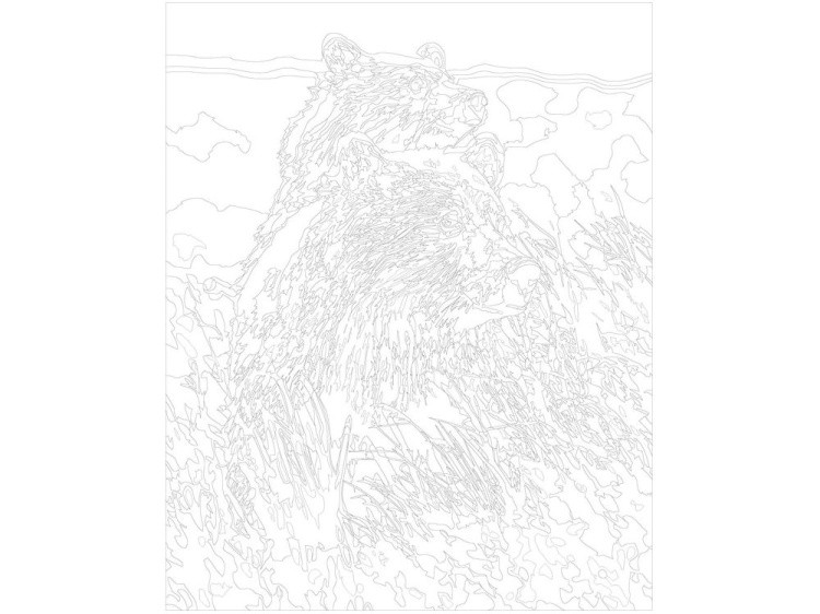 Картина по номерам «Бурые медведи» — картинка 3