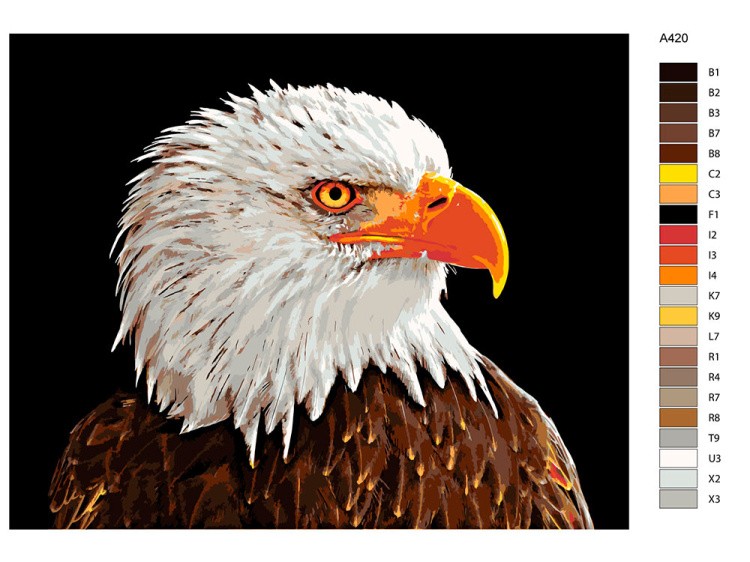 Картина по номерам «Гордый орел» — картинка 2