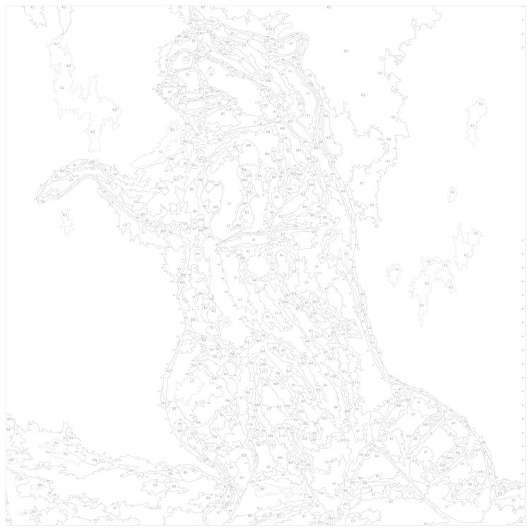 Картина по номерам «Забавный енот» — картинка 3