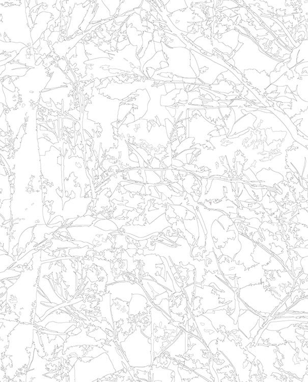 Картина по номерам «Розовая: осенние листья арт 40x50» — картинка 3