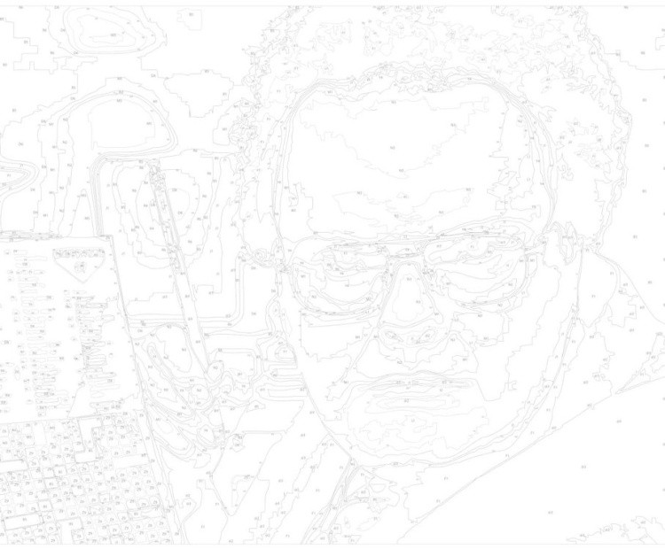 Картина по номерам «Мем: в парике» — картинка 3