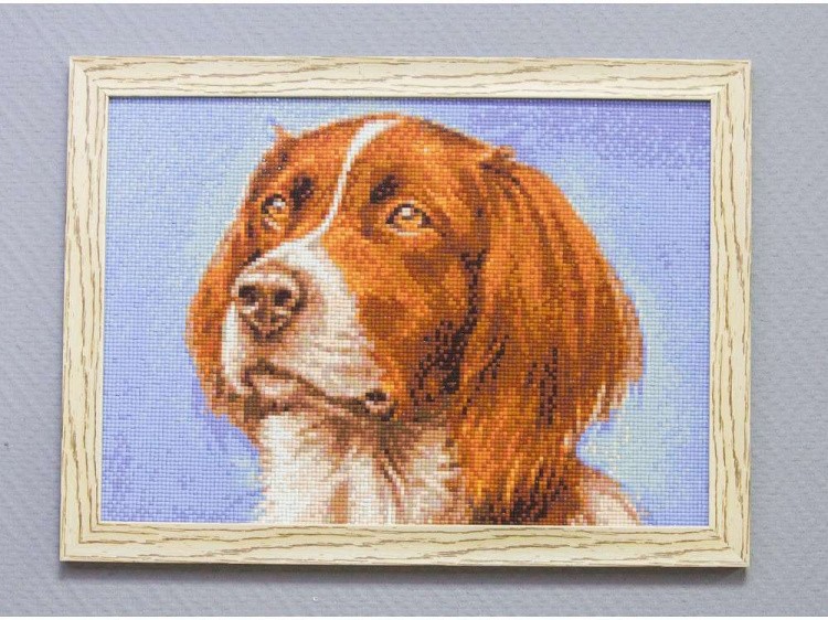 Алмазная вышивка «Сеттер» — картинка 4
