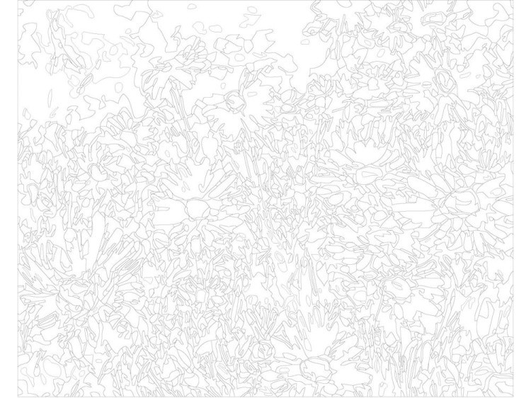 Картина по номерам «Полевые ромашки» — картинка 3