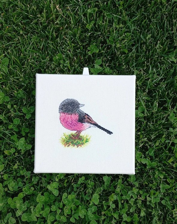 Набор для вышивания «Австралийская петроика» — картинка 2