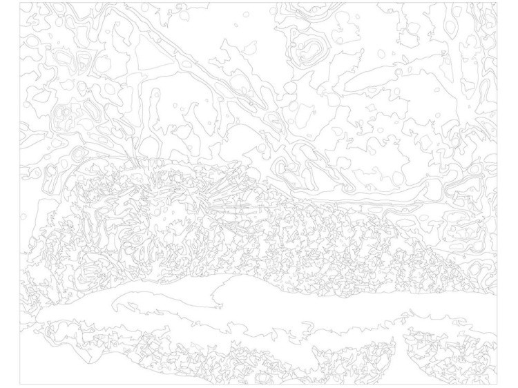 Картина по номерам «Тигр на снегу» — картинка 3