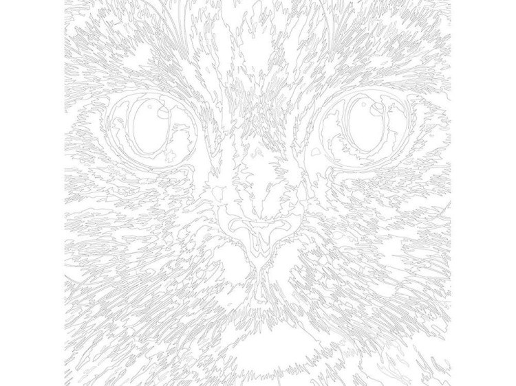 Картина по номерам «Медовые глаза» — картинка 3