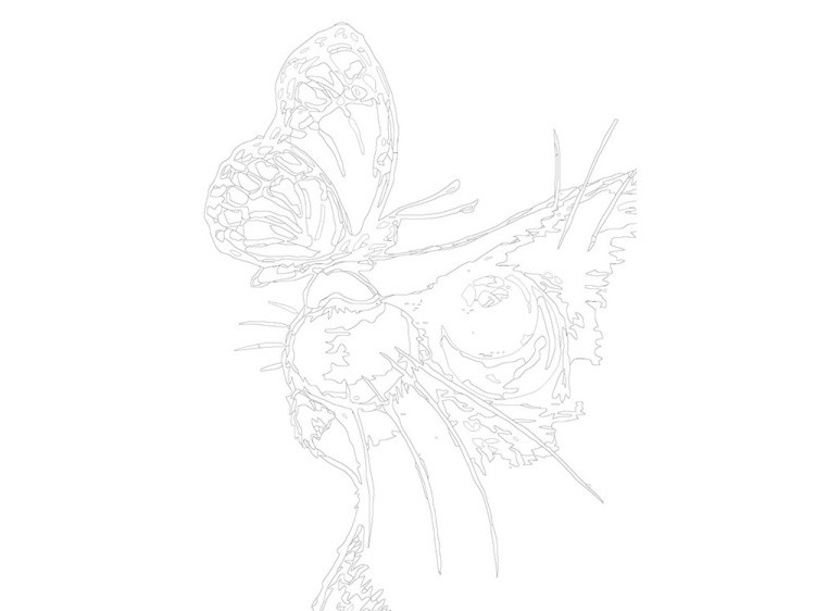 Картина по номерам «Милая бабочка» — картинка 3