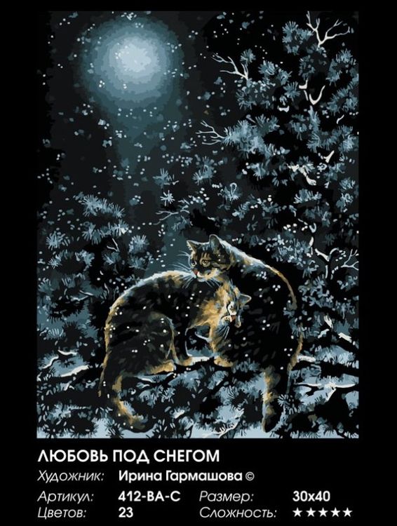 Картина по номерам «Любовь под снегом» — картинка 2