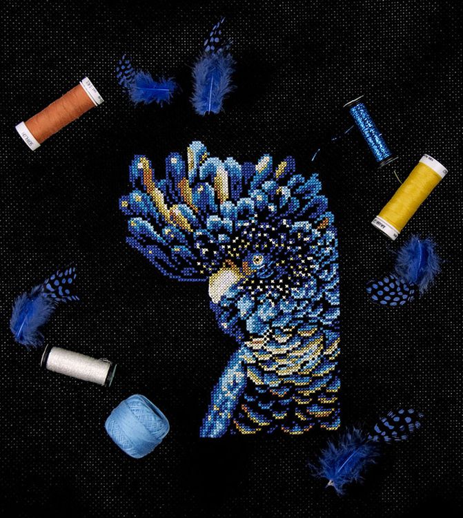 Набор для вышивания «Черный какаду» — картинка 3