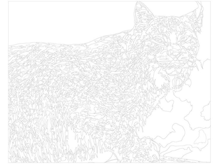 Картина по номерам «Рысь» — картинка 3