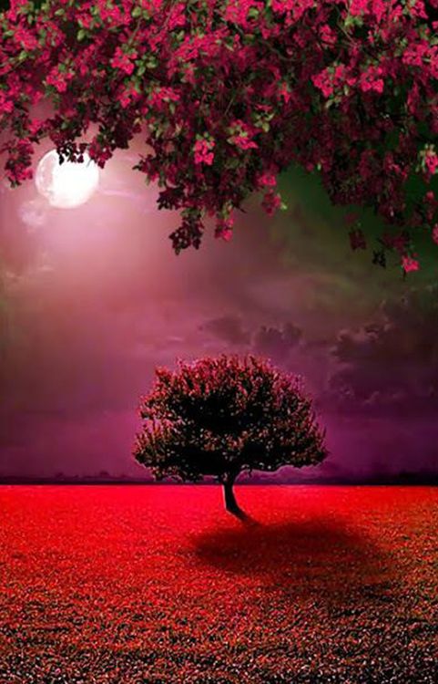 Алмазная вышивка «В красных тонах» — картинка 2