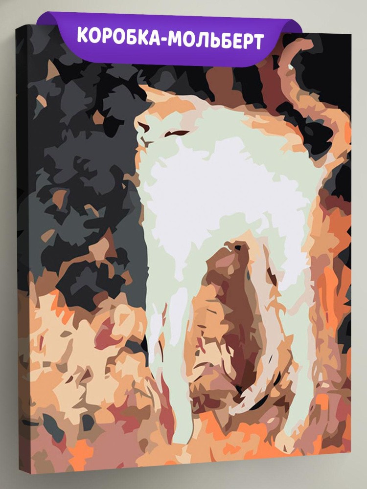 Картина по номерам «Кошка»