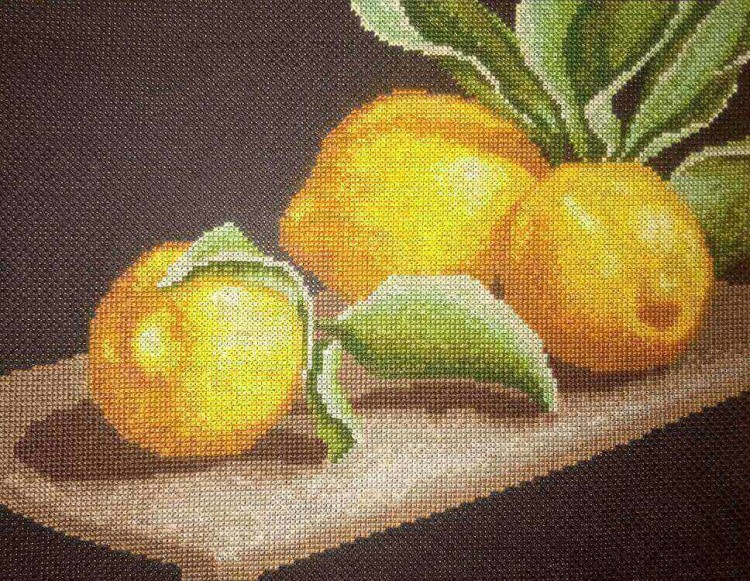 Набор для вышивания «Лимоны на столе»