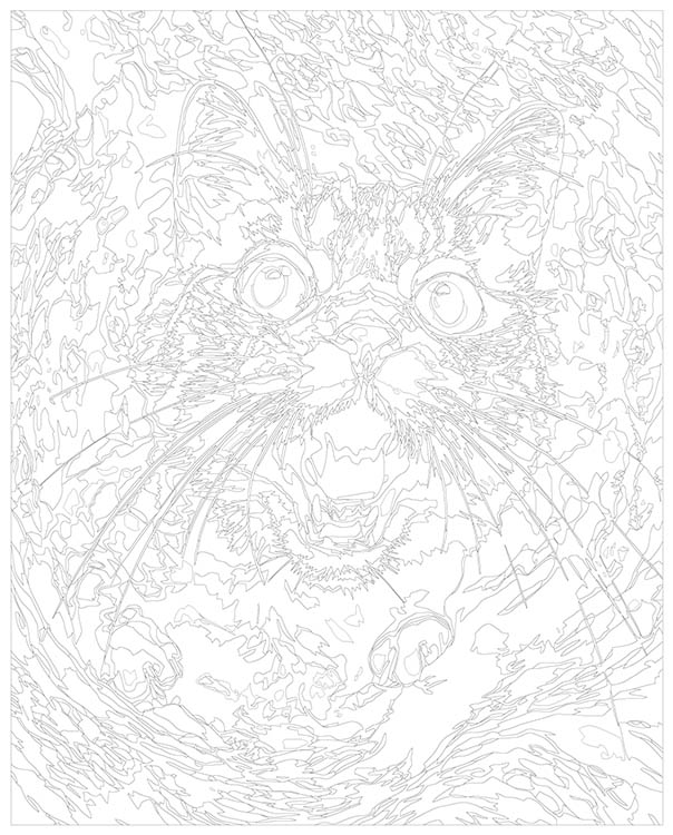 Картина по номерам «Удивленный кот под водой» — картинка 3