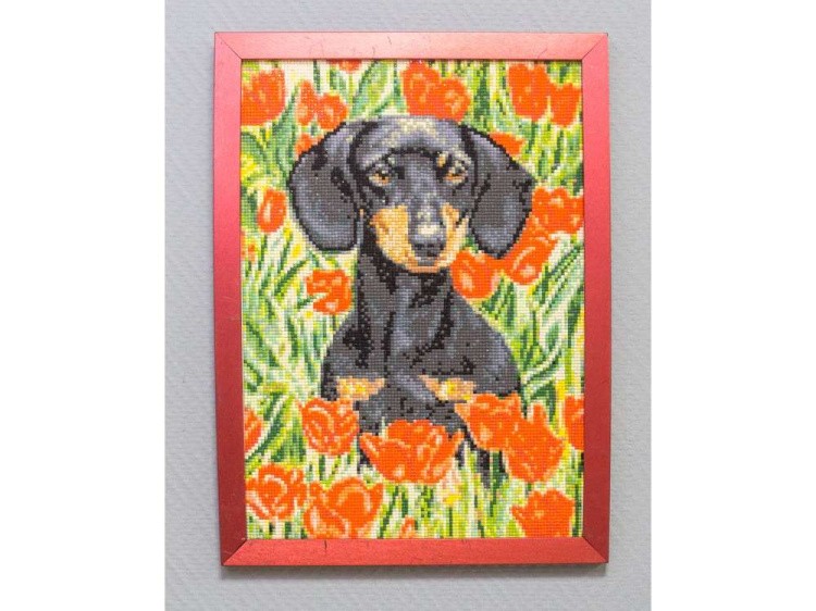 Алмазная вышивка «Такса в маках» — картинка 4