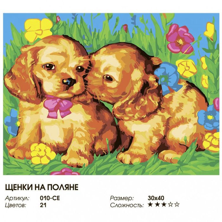 Картина по номерам «Щенки на поляне» — картинка 2