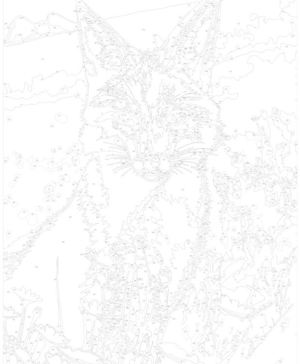 Картина по номерам «Хищница в поле» — картинка 3