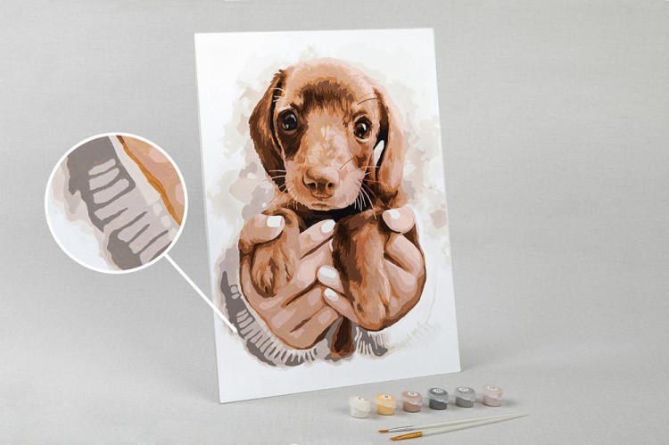 Картина по номерам «Лучший друг» — картинка 3